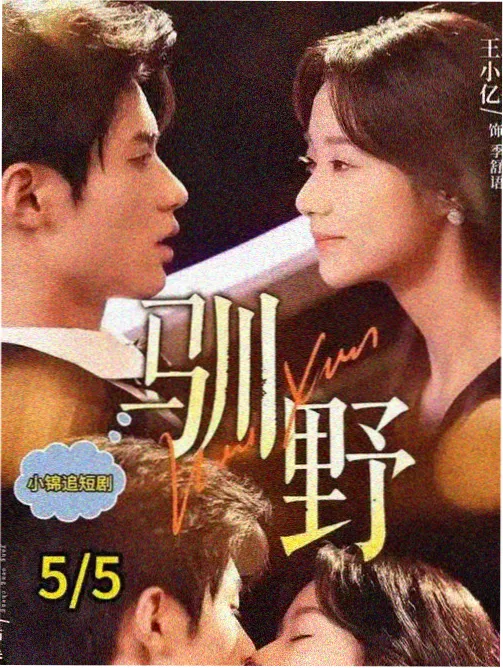 私人电影《二号放映厅》剧集封面